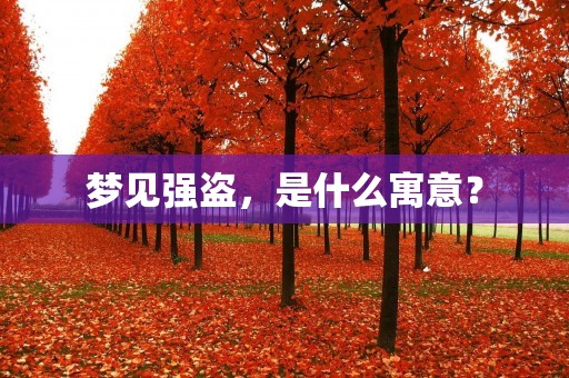 梦见强盗，是什么寓意？