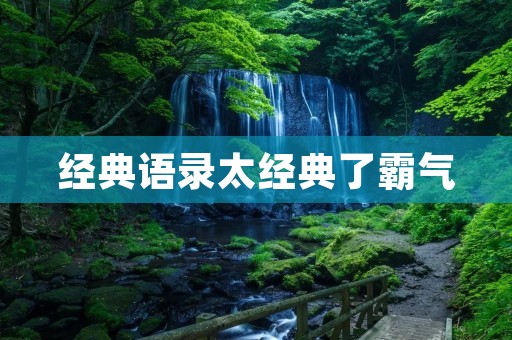 经典语录太经典了霸气 经典语录太经典了霸气
