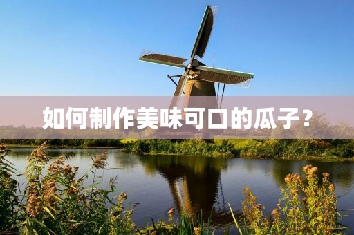 如何制作美味可口的瓜子? 如何制作美味可口的瓜子?