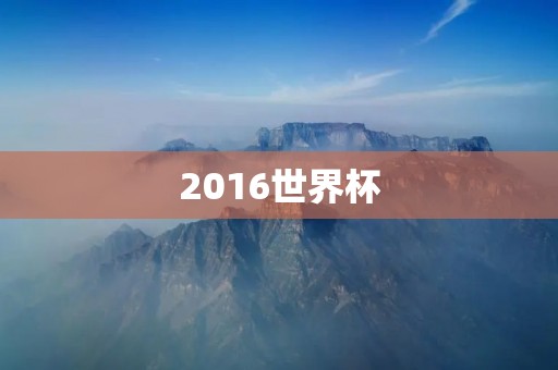 2016世界杯:足球界最大盛事 2016世界杯:足球界最大盛事