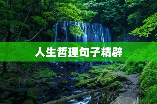 人生哲理句子精辟:探寻生命的真谛 人生哲理句子精辟:探寻生命的真谛