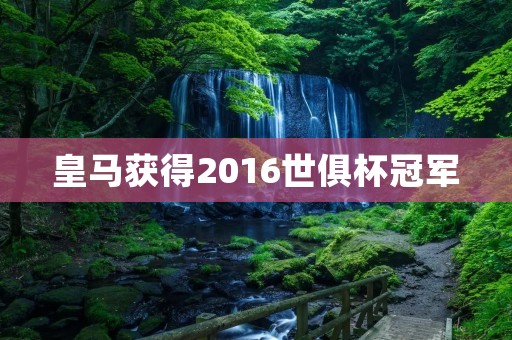 皇马获得2016世俱杯冠军