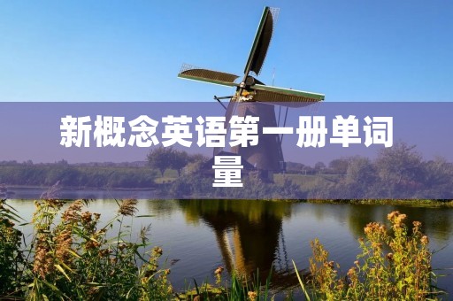 新概念英语第一册单词量