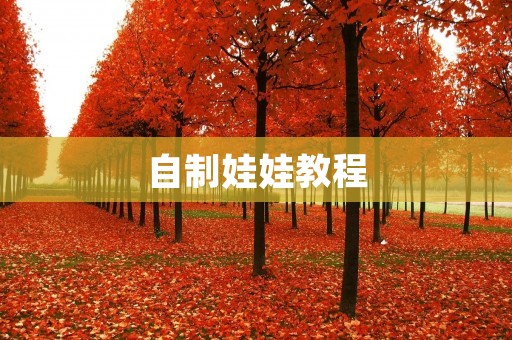 自制娃娃教程：手工制作可爱的娃娃