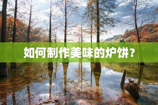 如何制作美味的炉饼? 如何制作美味的炉饼?