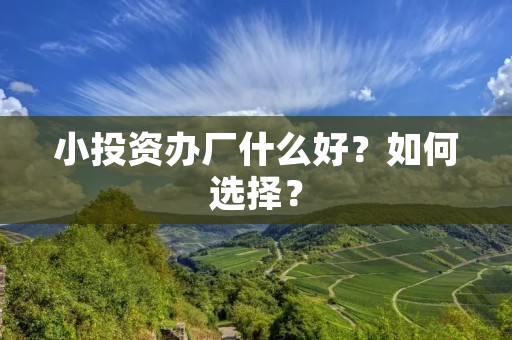 小投资办厂什么好?如何选择?