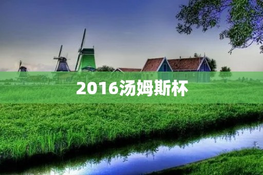 2016汤姆斯杯：中国男羽实力大爆发夺冠