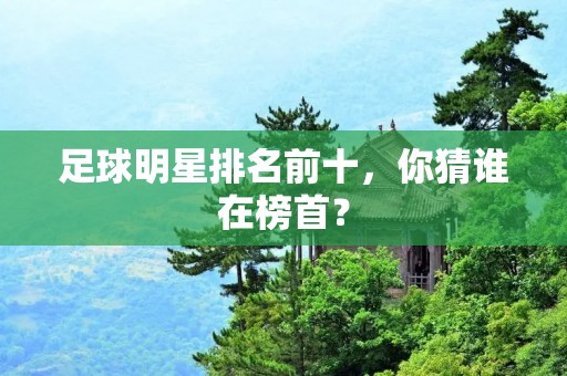 足球明星排名前十,你猜谁在榜首?