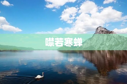 噤若寒蝉：静默的力量
