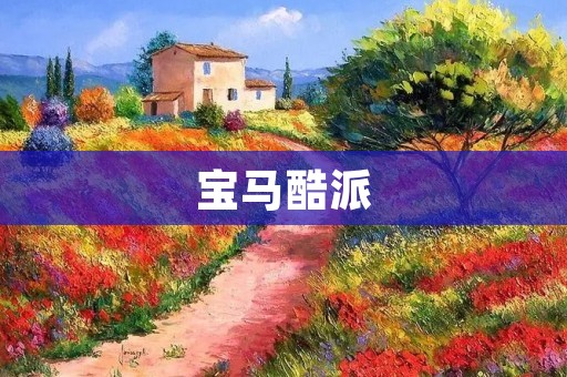 宝马酷派:开启豪华智能手机新时代 宝马酷派:开启豪华智能手机新时代