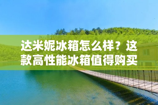 达米妮冰箱怎么样?这款高性能冰箱值得购买吗? 达米妮冰箱怎么样?这款高性能冰箱值得购买吗?