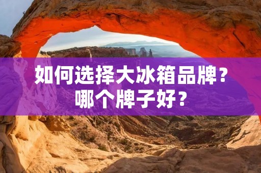 如何选择大冰箱品牌?哪个牌子好? 如何选择大冰箱品牌?哪个牌子好?