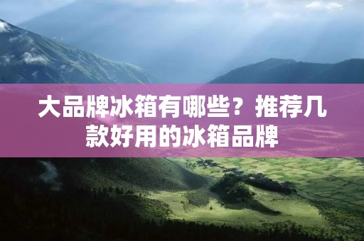 大品牌冰箱有哪些?推荐几款好用的冰箱品牌 大品牌冰箱有哪些?推荐几款好用的冰箱品牌
