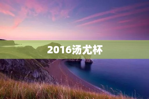 2016汤尤杯：中日韩三国羽毛球比赛