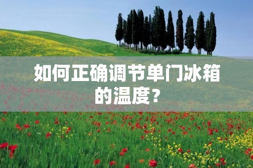 如何正确调节单门冰箱的温度? 如何正确调节单门冰箱的温度?