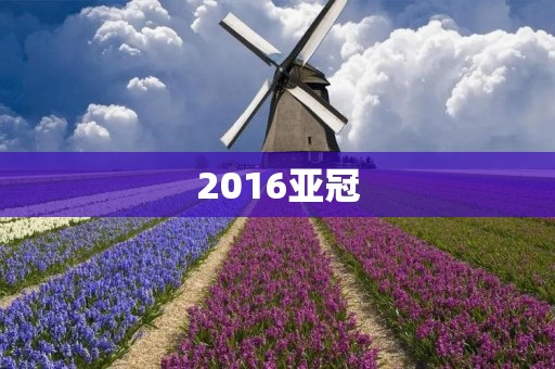2016亚冠:上海上港的历史性征程 2016亚冠:上海上港的历史性征程