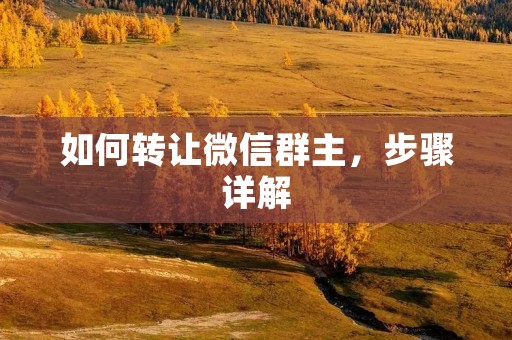 如何转让微信群主,步骤详解 如何转让微信群主,步骤详解