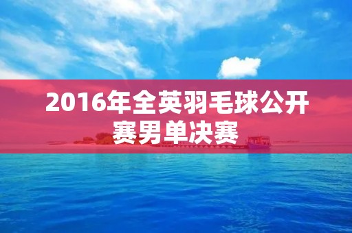 2016年全英羽毛球公开赛男单决赛：林丹夺冠