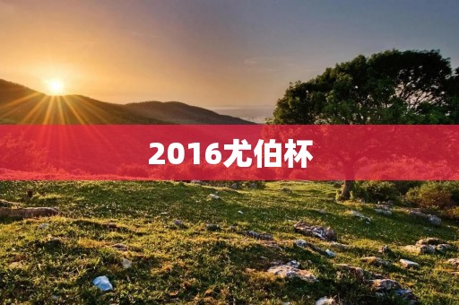 2016尤伯杯：中国羽毛球的巅峰之战