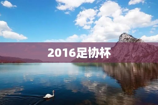 2016足协杯:中超球队大放异彩,赛制变化引发争议 2016足协杯:中超球队大放异彩,赛制变化引发争议
