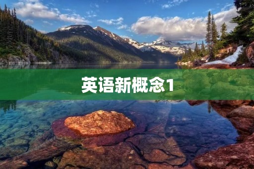 英语新概念1：初学者必备教材