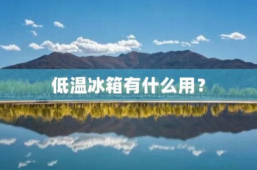 低温冰箱有什么用? 低温冰箱有什么用?