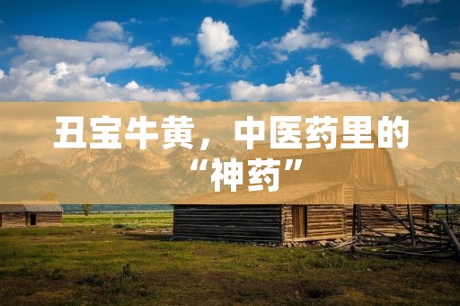 丑宝牛黄，中医药里的“神药”