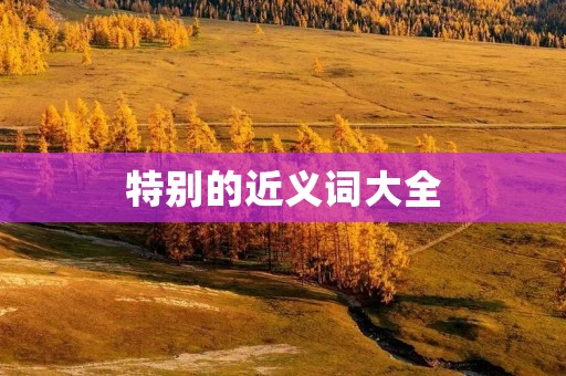 特别的近义词大全