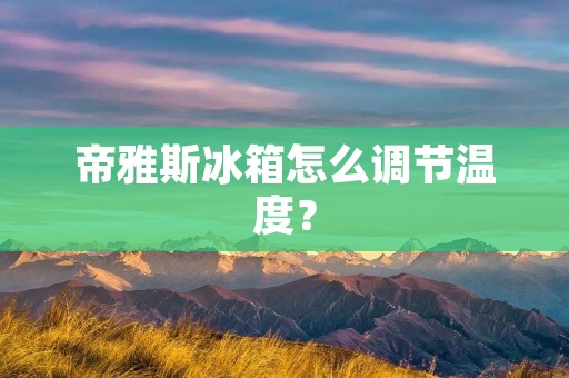 帝雅斯冰箱怎么调节温度?