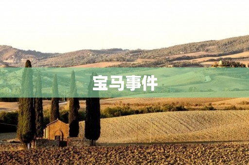 宝马事件:一起引发社会反思的车祸 宝马事件:一起引发社会反思的车祸