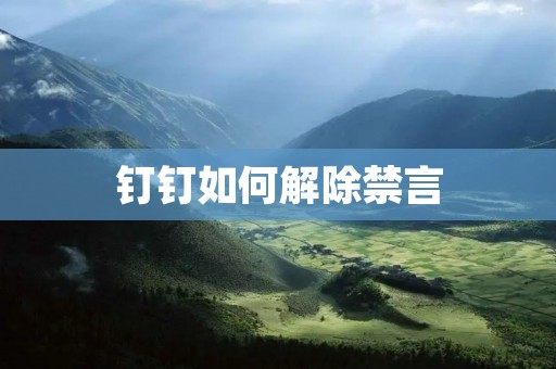 钉钉如何解除禁言 钉钉如何解除禁言