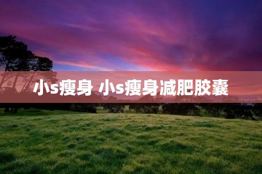 小s瘦身 小s瘦身减肥胶囊 小s瘦身 小s瘦身减肥胶囊