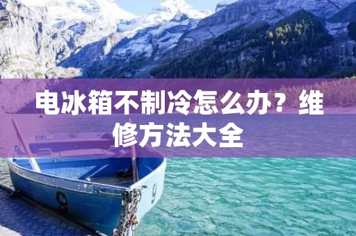 电冰箱不制冷怎么办?维修方法大全 电冰箱不制冷怎么办?维修方法大全
