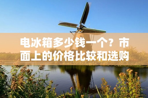 电冰箱多少钱一个?市面上的价格比较和选购建议 电冰箱多少钱一个?市面上的价格比较和选购建议