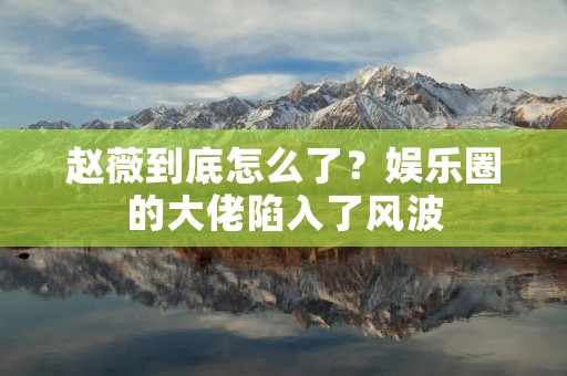 赵薇到底怎么了?娱乐圈的大佬陷入了风波