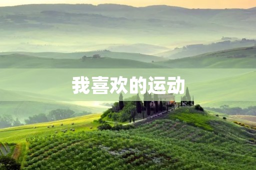 我喜欢的运动