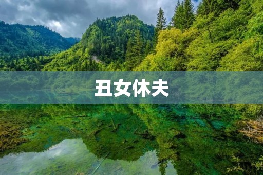 丑女休夫:为何世间美貌胜利? 丑女休夫:为何世间美貌胜利?