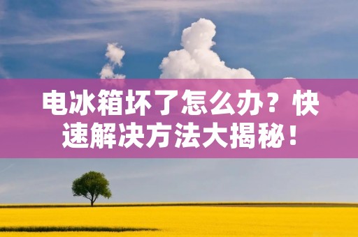 电冰箱坏了怎么办?快速解决方法大揭秘! 电冰箱坏了怎么办?快速解决方法大揭秘!