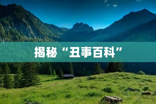 揭秘“丑事百科”：网络暴力的另一面