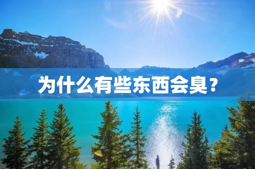 为什么有些东西会臭? 为什么有些东西会臭?