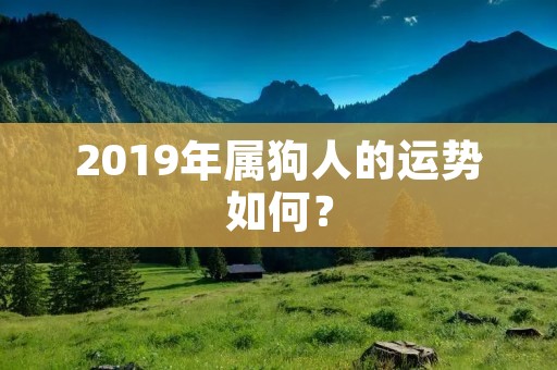 2019年属狗人的运势如何？