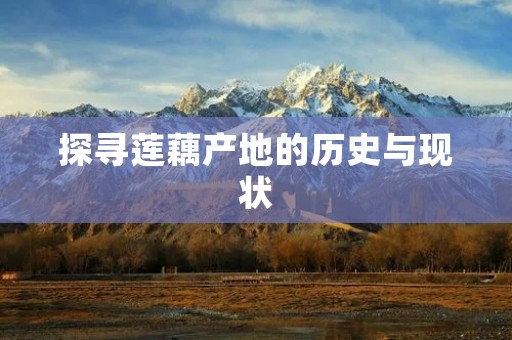 探寻莲藕产地的历史与现状