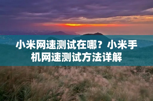 小米网速测试在哪?小米手机网速测试方法详解 小米网速测试在哪?小米手机网速测试方法详解