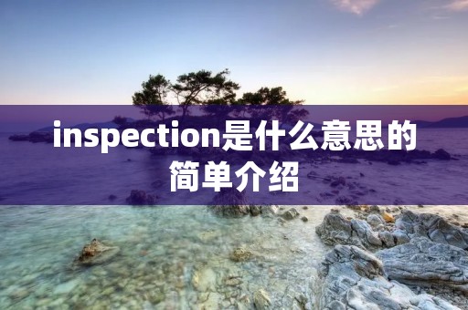 inspection是什么意思的简单介绍 inspection是什么意思的简单介绍