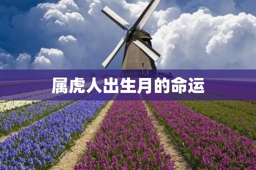 属虎人出生月的命运