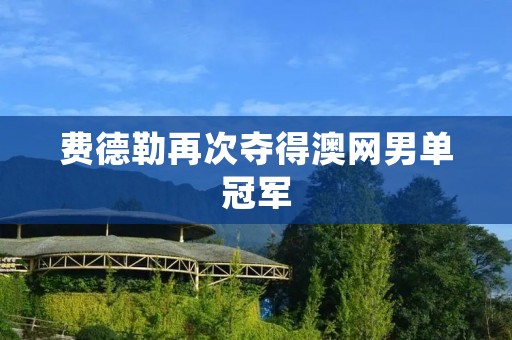 费德勒再次夺得澳网男单冠军 费德勒再次夺得澳网男单冠军