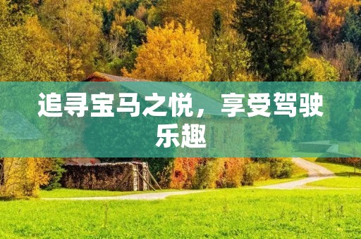 追寻宝马之悦，享受驾驶乐趣