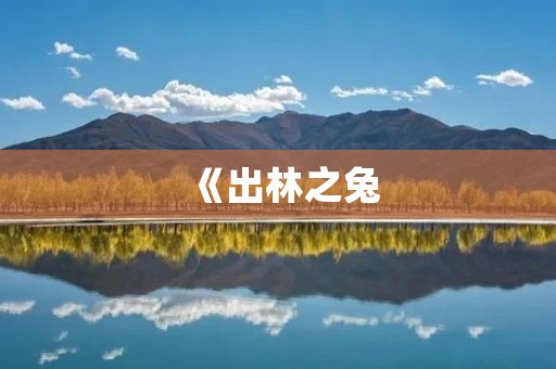 《出林之兔：一个勇敢的自由主义者》