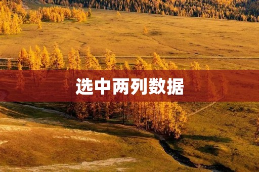 选中两列数据