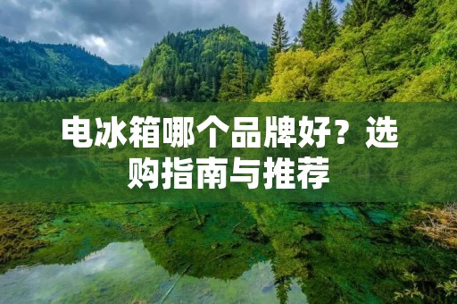 电冰箱哪个品牌好？选购指南与推荐